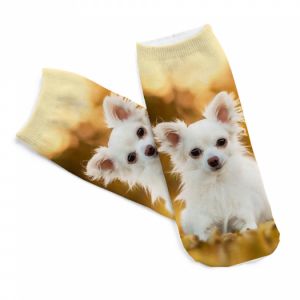 Ponožky s motivem psa - čivava 95