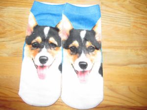 Ponožky  s motivem psa corgi 4