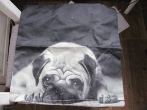 Pilow cover pug