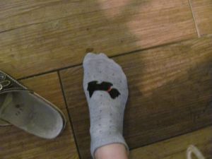 Socks scottie dog