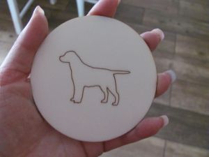 Coaster labrador