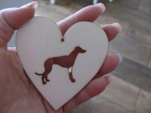 Greyhound in heart