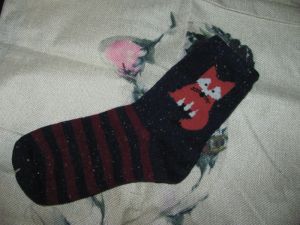 Socks fox