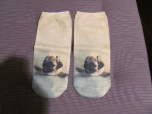 Ponožky  s motivem psa - mops 3