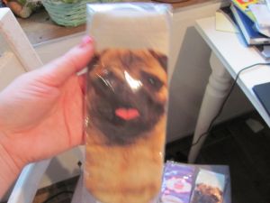 Ponožky motiv pes - mops 29
