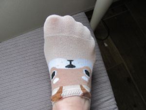 Nízké ponožky - motiv pes shiba 32