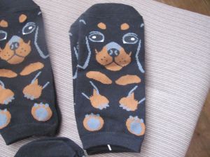 Socks wiht dog 