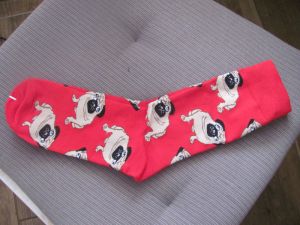 Socks with dog - pug