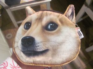 Peněženka motiv pes - shiba