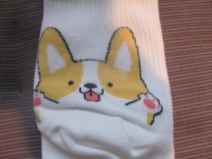 Ponožky motiv pes corgi 129