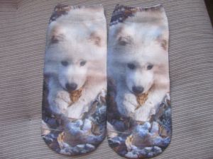 Ponožky motiv pes - samojed 79