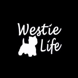 Car sticker - westie dog 