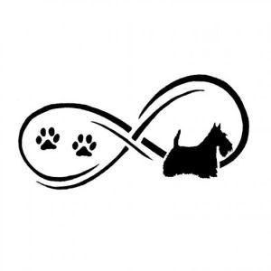 Car sticker - scottish terrier 