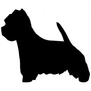 Car sticker  westie dog 