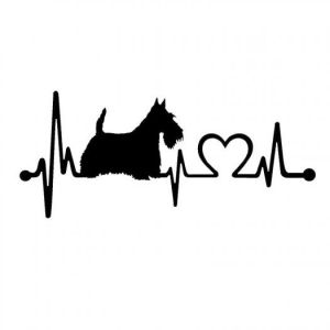 Car sticker - scottish terrier 