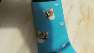 Ponožky motiv pes - Corgi 15