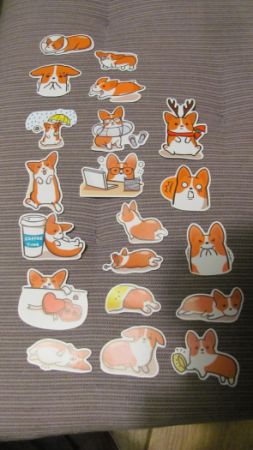 Set samolepek motiv pes - Corgi 1