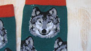 Ponožky motiv pes - vlk, malamut 658