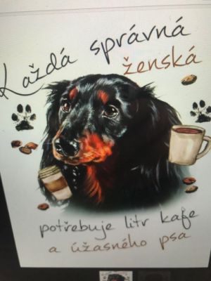 Hrníček motiv pes - jezevčík 4
