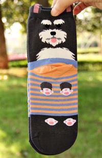 Ponožky motiv  pes - knírač 2020