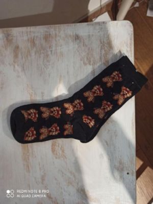 Ponožky motiv pes - jork 2