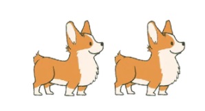 Náušnice motiv pes - Corgi 11