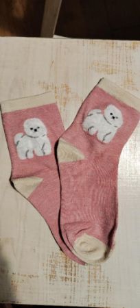 Ponožky motiv pes - bišon